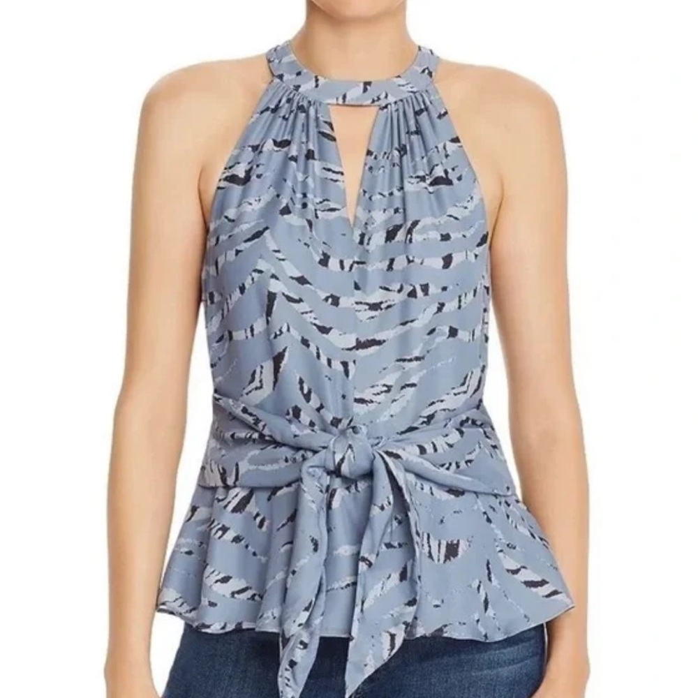 NWOT Small Parker Alice Blue Top ($238)